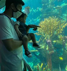 Instagram post by @allensarinana_