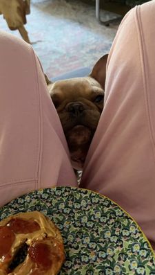 Instagram post by @goodboy.emmett