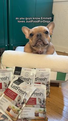 Instagram post by @goodboy.emmett