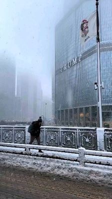 Instagram post by @visit.chicago7