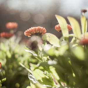 Instagram post by @chelseahennard