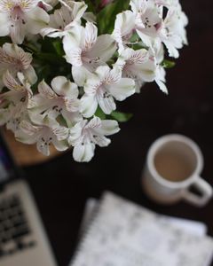 Instagram post by @chelseahennard