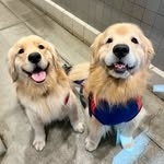 @chasin_chester Instagram Profile