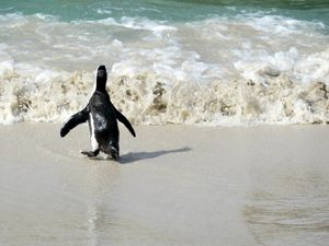 Instagram post by @susiehikes