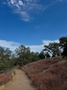 Instagram post by @susiehikes