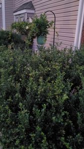 Instagram post by @tarik_myers