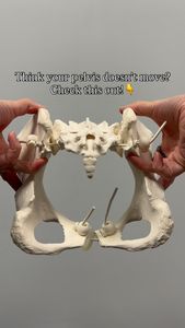 Instagram post by @drlindsaymassumi