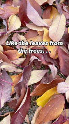 Instagram post by @naturehillsfarm