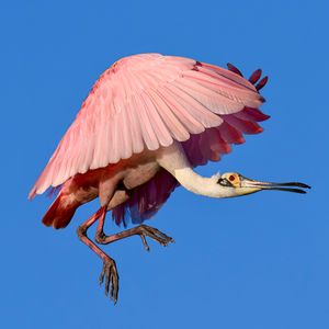 Instagram post by @debsandidge