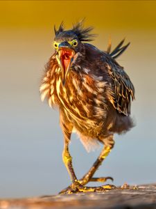 Instagram post by @debsandidge