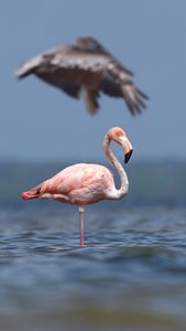 Instagram post by @debsandidge