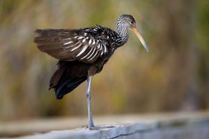 Instagram post by @debsandidge