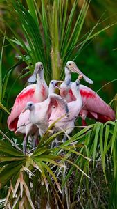 Instagram post by @debsandidge