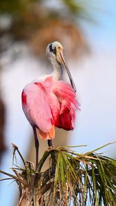 Instagram post by @debsandidge