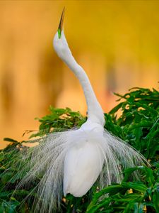 Instagram post by @debsandidge