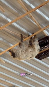 Instagram post by @mer.in.michigan