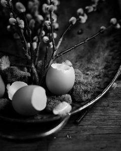 Instagram post by @slow.food.studio