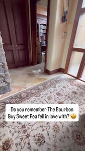 Instagram post by @the_parrot_lady