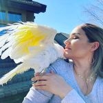 @the_parrot_lady Instagram Profile