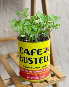 Instagram post by @vegansazon