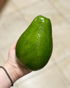 Instagram post by @vegansazon