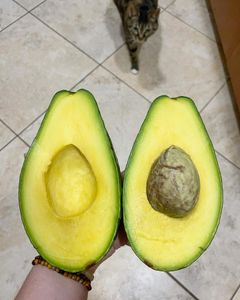 Instagram post by @vegansazon