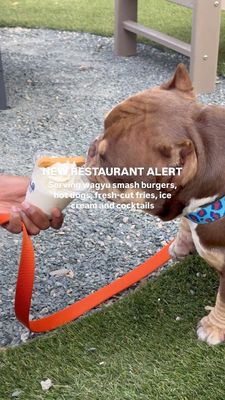 Instagram post by @sadeyoungmn