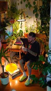 Instagram post by @plants.are.decor