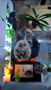 Instagram post by @plants.are.decor