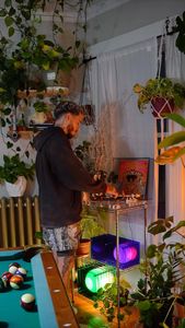 Instagram post by @plants.are.decor