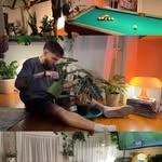 @plants.are.decor Instagram Profile