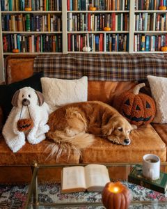 Instagram post by @karlibree