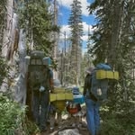 @thelittleadventurers Instagram Profile