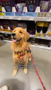 Instagram post by @jordytings