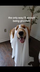 Instagram post by @jordytings