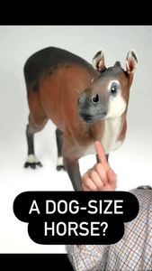 Instagram post by @idea.soup