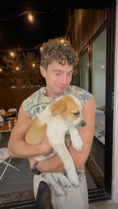 Instagram post by @chasesdayinthelife