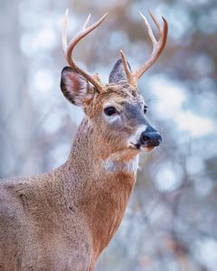 Instagram post by @mike.mike.b