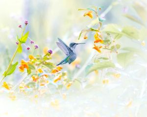 Instagram post by @mike.mike.b