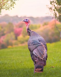 Instagram post by @mike.mike.b