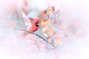 Instagram post by @mike.mike.b