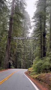 Instagram post by @sah.van.girl