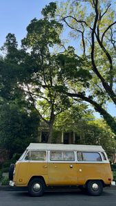 Instagram post by @maddyjedmunds