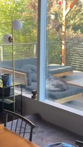 Instagram post by @siberianderpskies