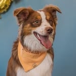 @broncothemini Instagram Profile