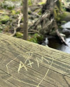 Instagram post by @chefmeghan14