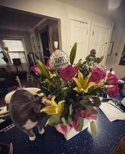 Instagram post by @chefmeghan14