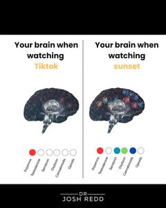 Instagram post by @drjoshredd