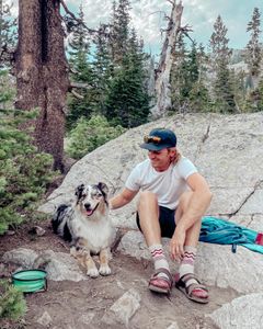 Instagram post by @thefenimores