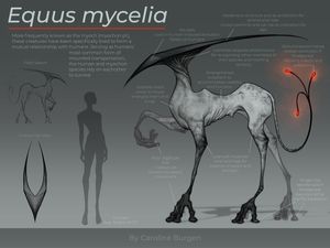 Instagram post by @carolineburgen